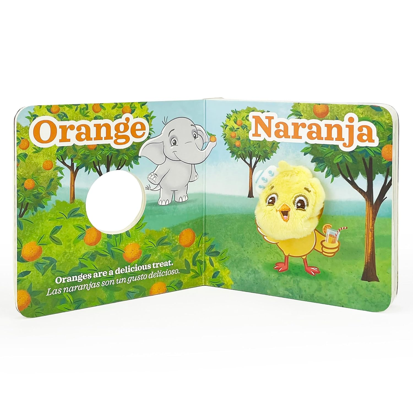 Colors / Colores Gift Set