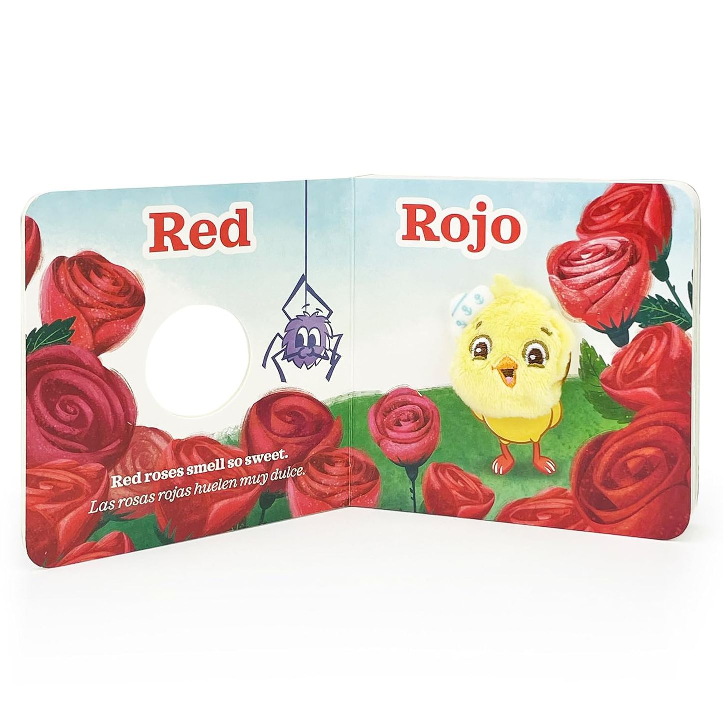 Colors / Colores Gift Set