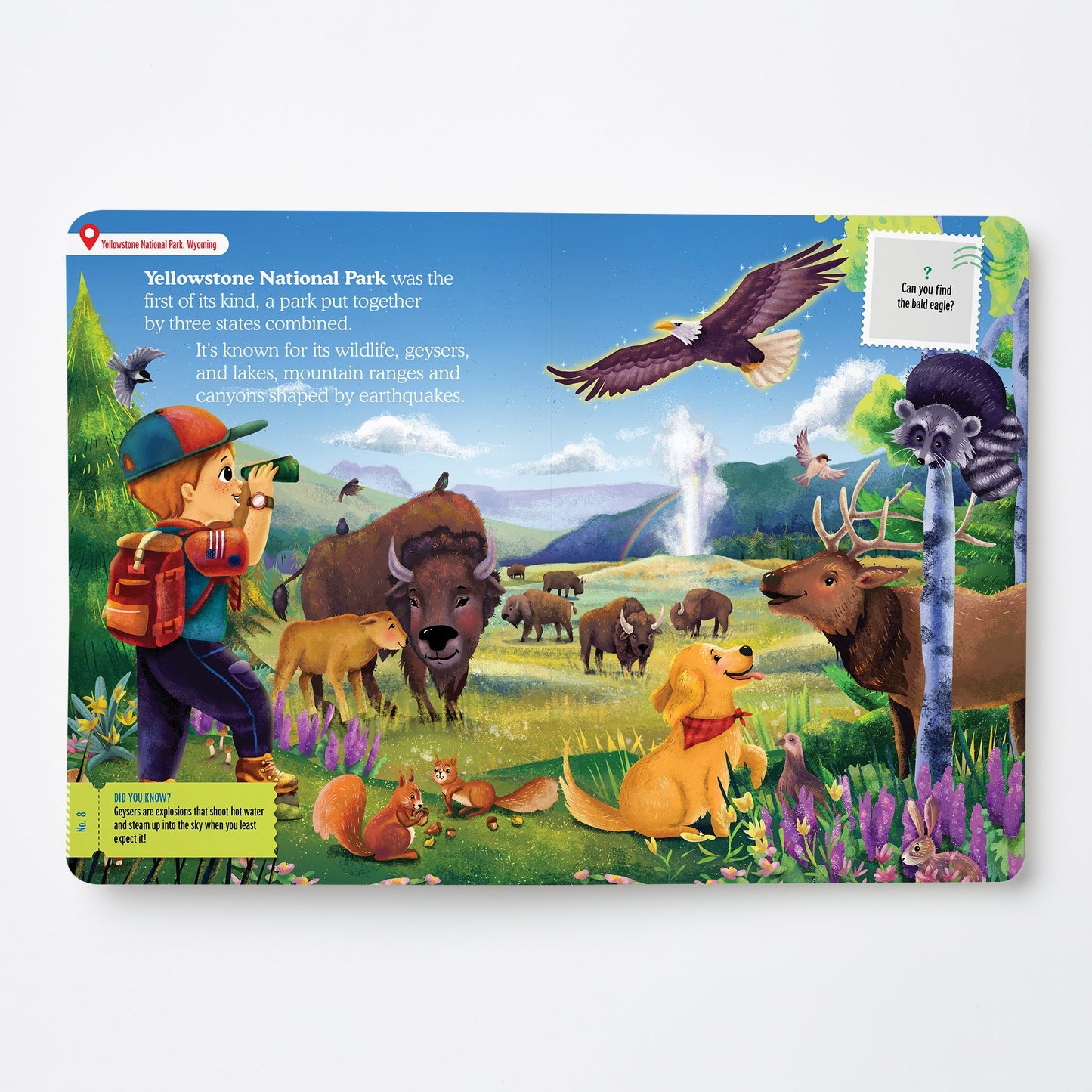 United States Treasure Quest Book